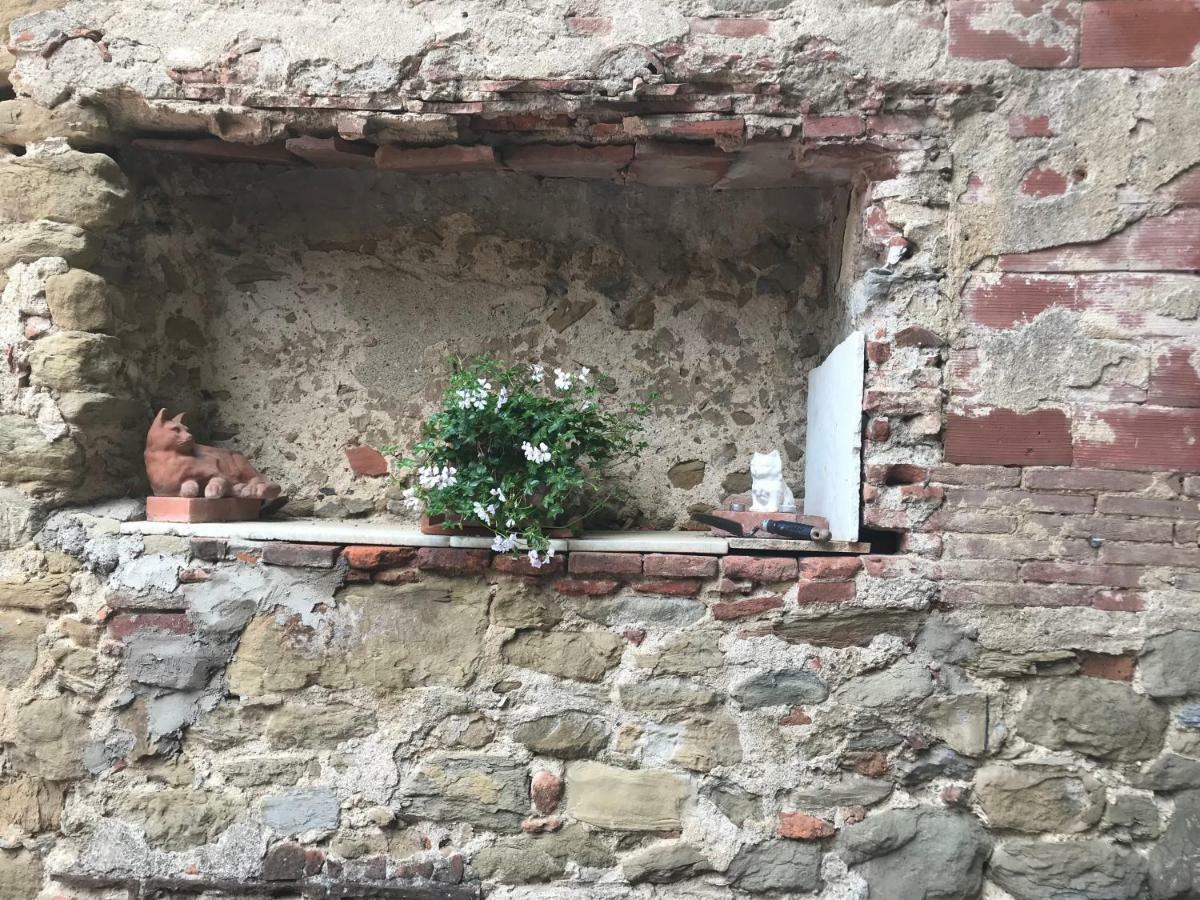 Camera E Appartamento Toscana - B&B Palazzo Robicci Castiglion Fiorentino Eksteriør billede