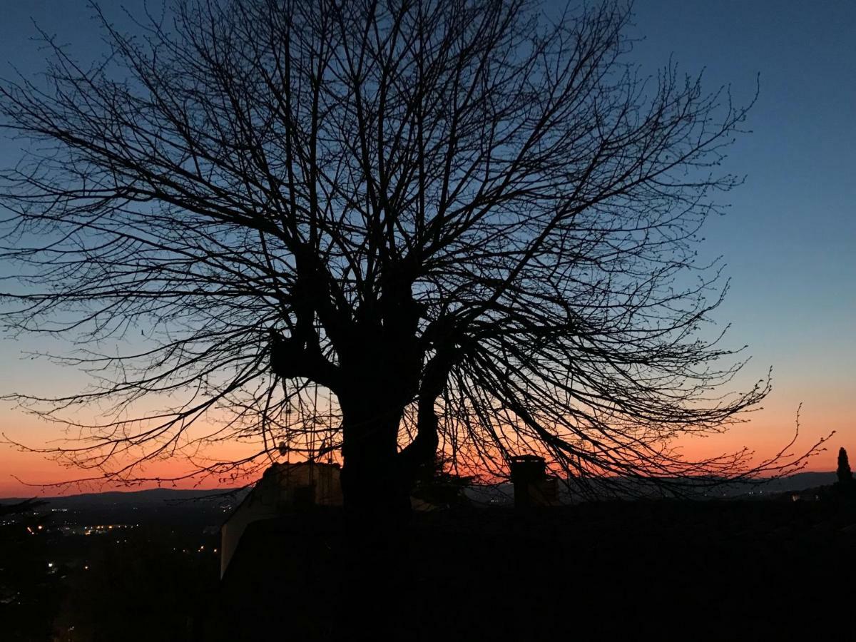 Camera E Appartamento Toscana - B&B Palazzo Robicci Castiglion Fiorentino Eksteriør billede